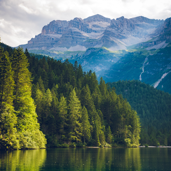 Eco-Friendly-outdoors